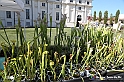 VBS_2390 - FloReal 2021 alla Palazzina di Caccia di Stupinigi